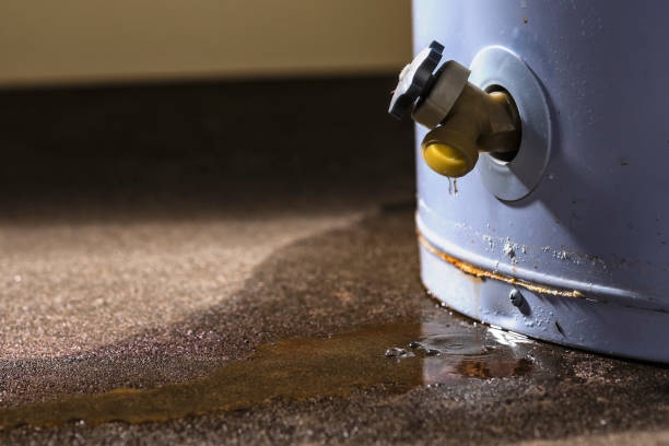 Best Basement water damage restoration  in Locust Grove, GA