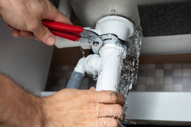 Best Local water damage restoration  in Locust Grove, GA