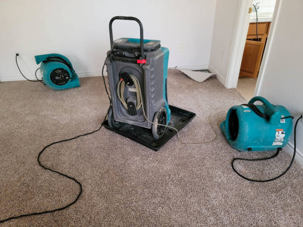 Best 24-hour water damage restoration  in Locust Grove, GA
