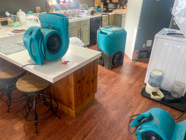 Best Water damage contractors near me  in Locust Grove, GA
