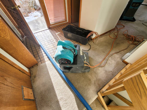 Best Commercial water damage restoration  in Locust Grove, GA