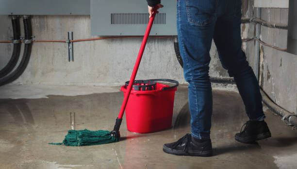 Best Flood damage cleanup  in Locust Grove, GA