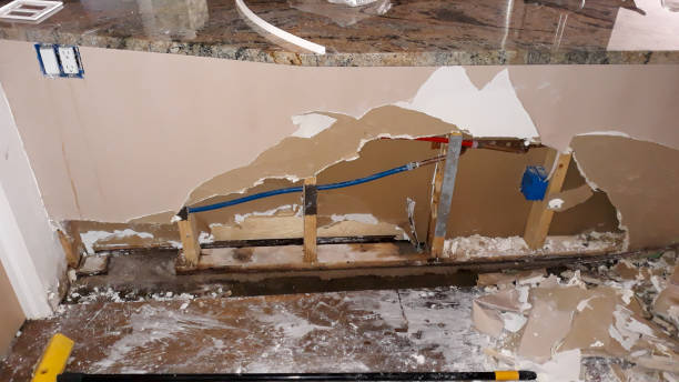 Best Professional water damage repair  in Locust Grove, GA