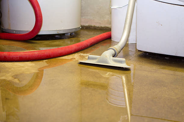 Best 24-hour water damage restoration  in Locust Grove, GA