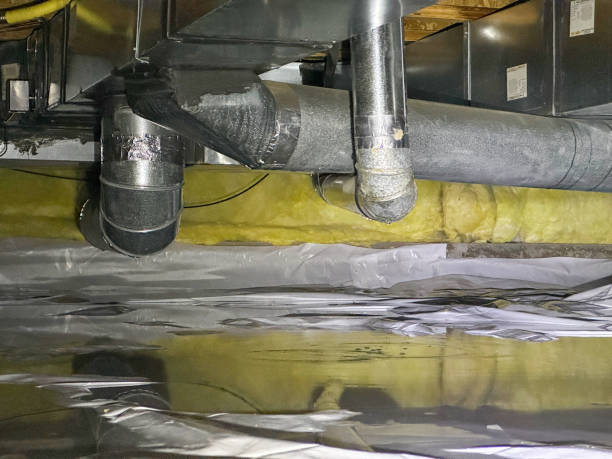 Best Ceiling water damage repair  in Locust Grove, GA